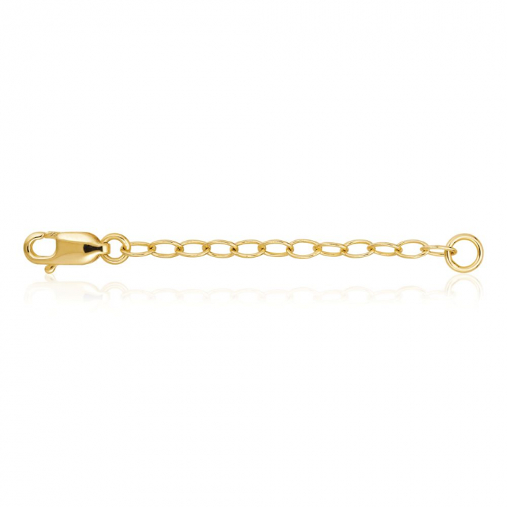 Förlängningskedja (Gold) in der Gruppe Accessoires bei SCANDINAVIAN JEWELRY DESIGN (SJ-EXTENS-YG)
