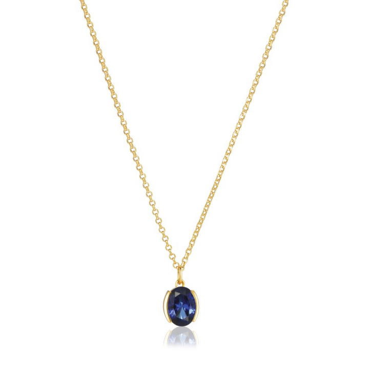 Ellisse Carezza - 18k Goldpläterade, med blåa zirkoner Halsketten in der Gruppe Halsketten / Goldhalsketten bei SCANDINAVIAN JEWELRY DESIGN (SJ-N2353-BLCZ-YG)