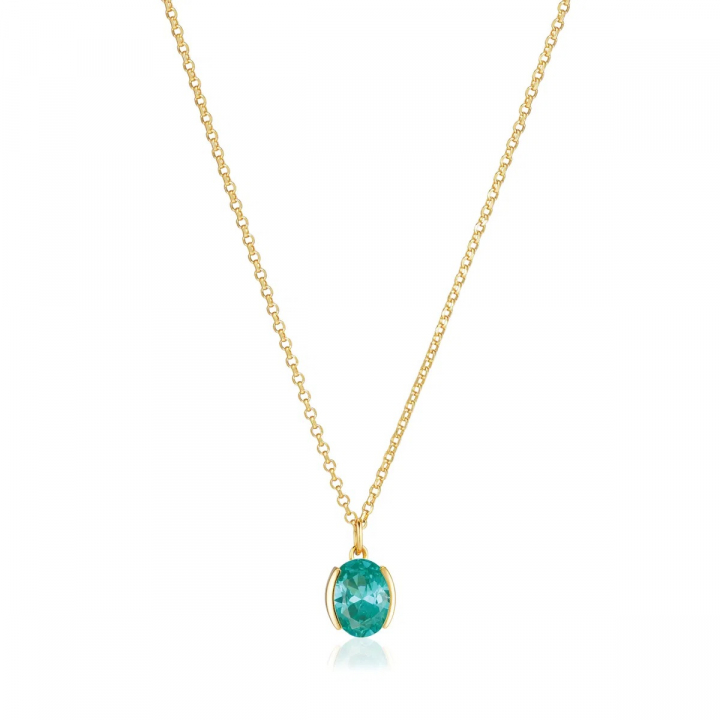 ELLISSE CAREZZA Necklace Gold in der Gruppe Halsketten / Goldhalsketten bei SCANDINAVIAN JEWELRY DESIGN (SJ-N2353-TQCZ-YG)