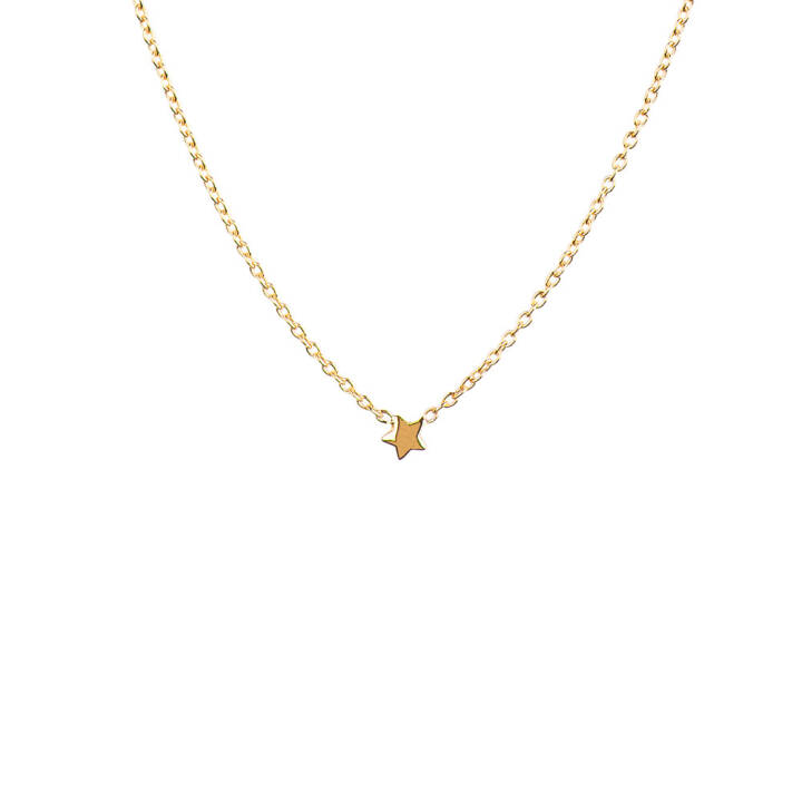 Product Image for DRAKENBERG SJÖLIN Stella Nova drop Halsketten Gold