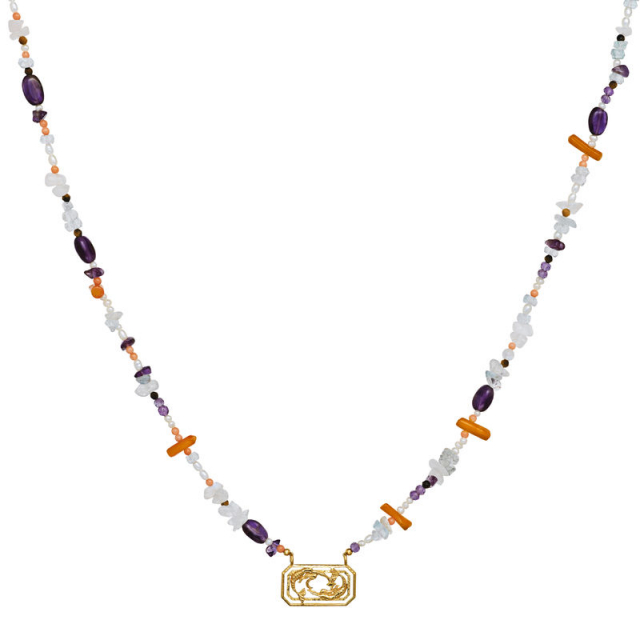 Zodiac Water Pisces Halsketten (Gold)