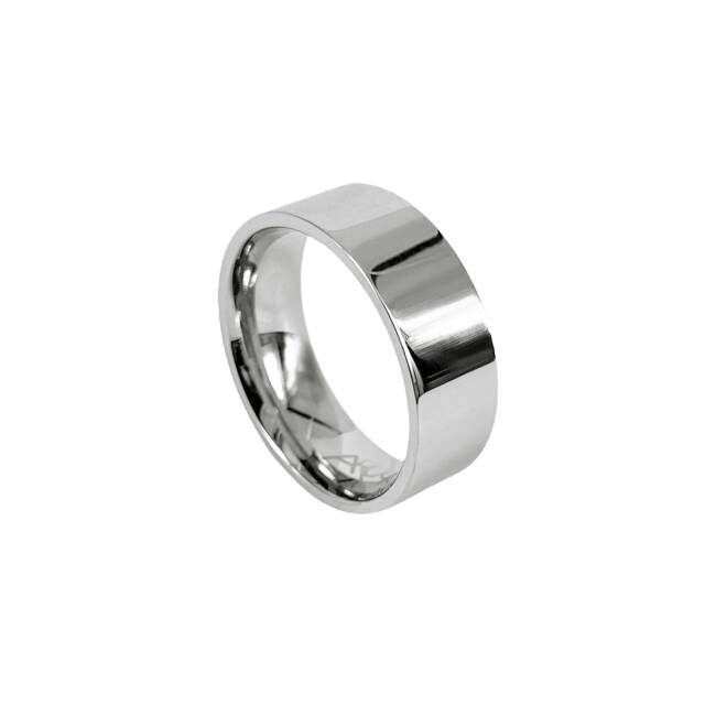 WALTER Blankt Stahl ring