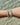 Aura Pearl Aventurin-Armband Gold