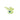 Flutura Lime Haarspange