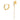 Lily Ohrring Gold