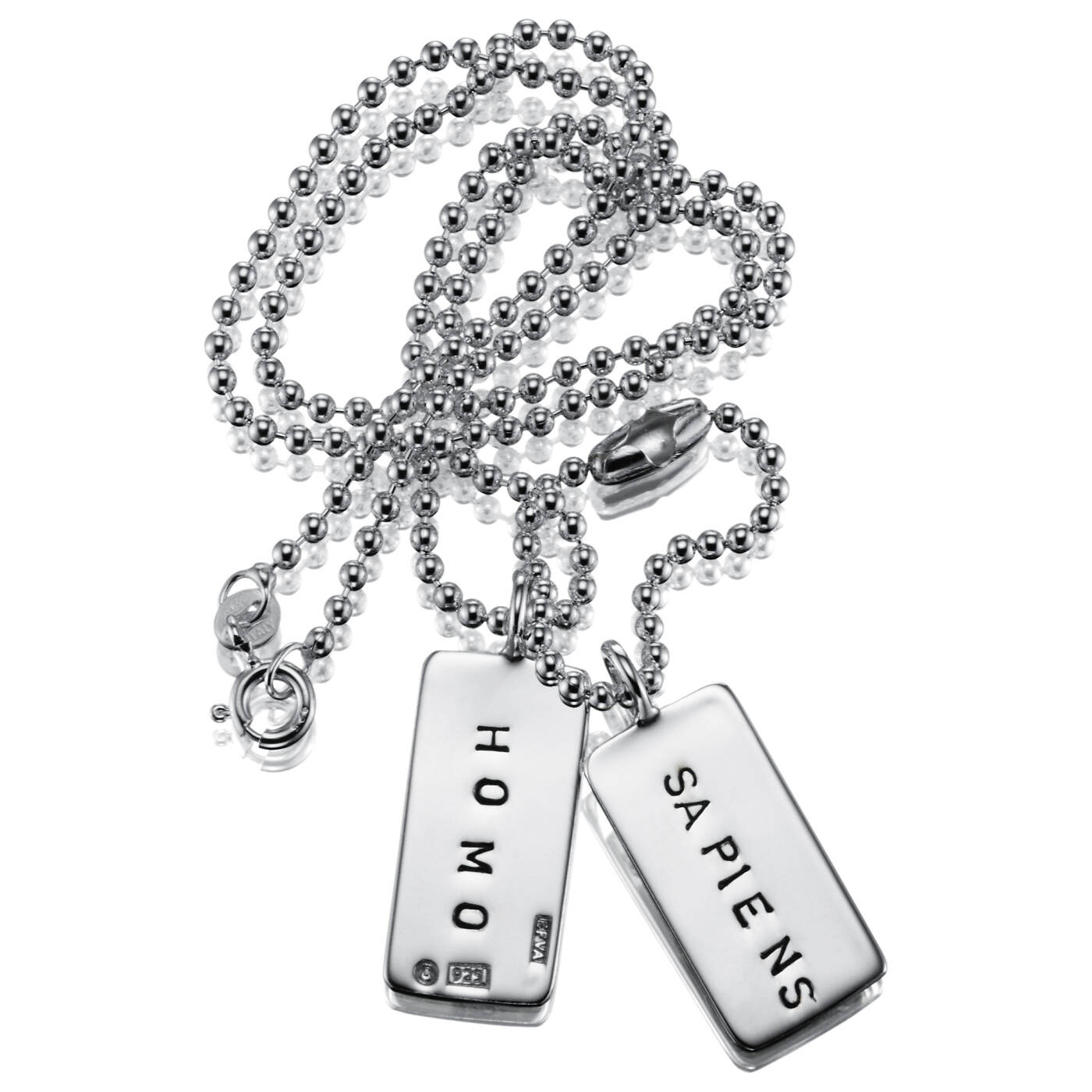 Homo Sapiens Tags Hängeschmuck Silber