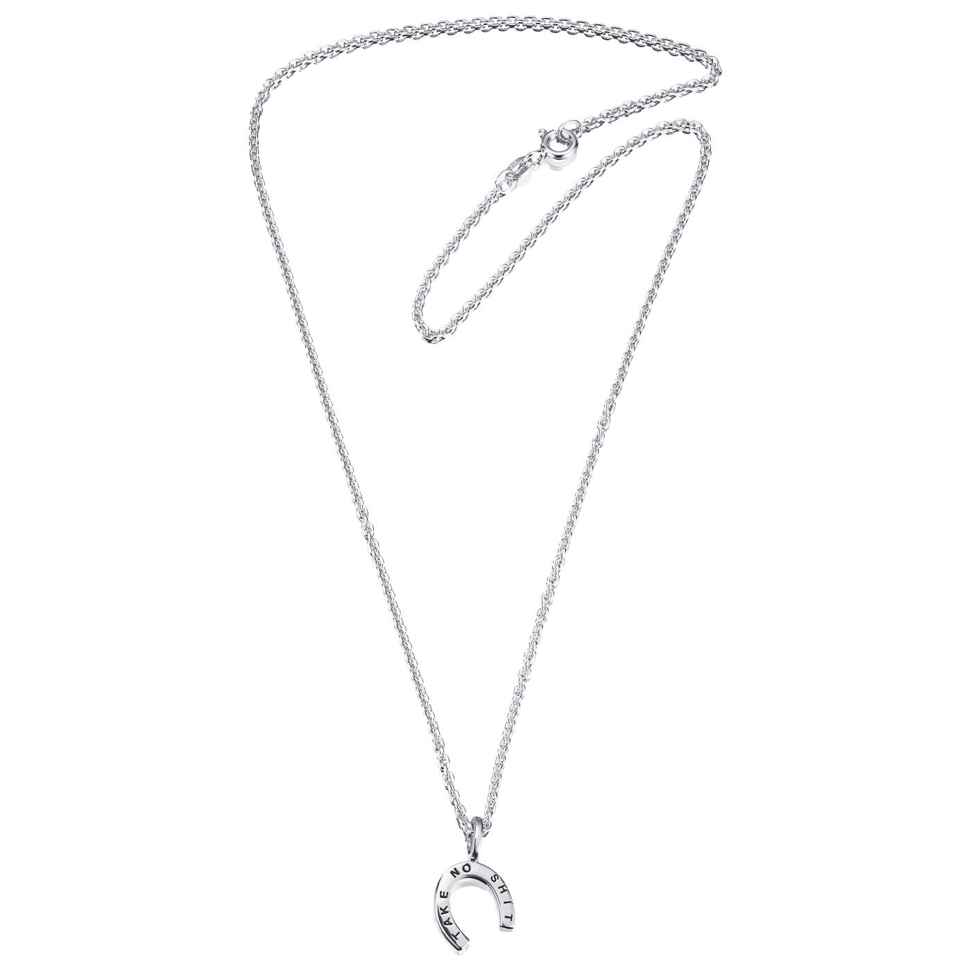 Take No Shit Hängeschmuck Silber