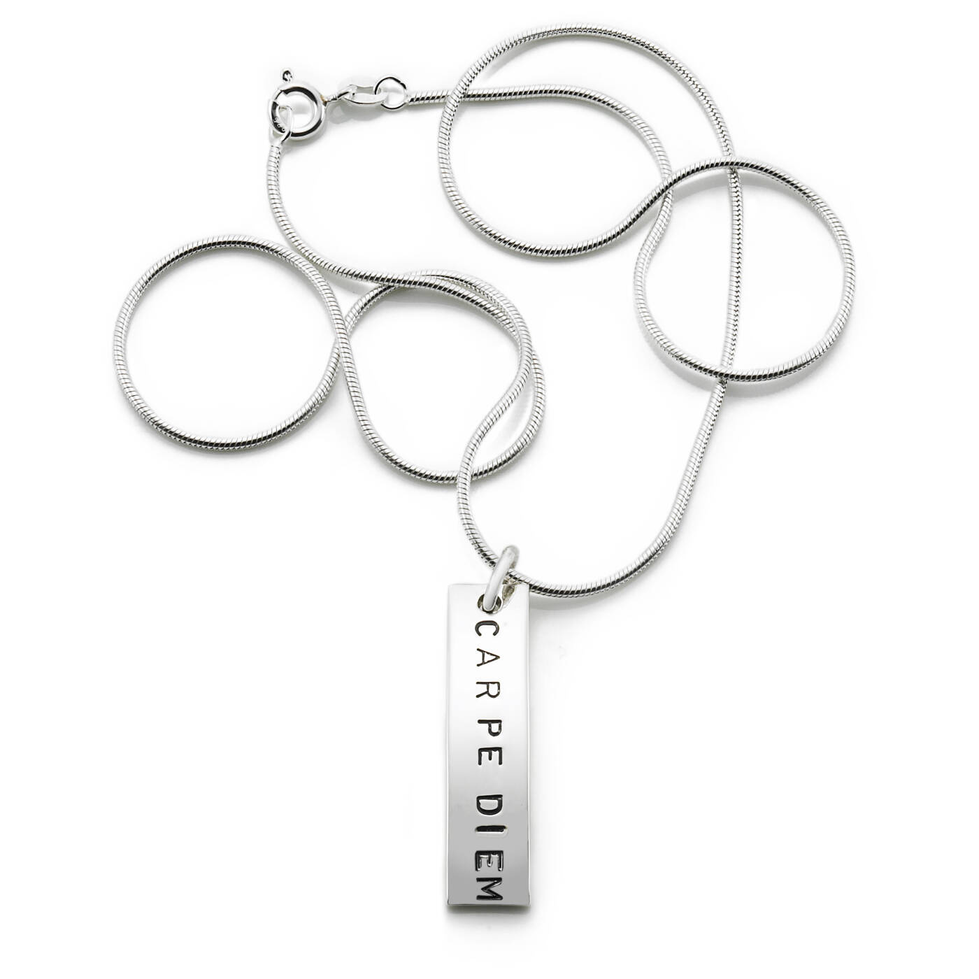 Carpe Diem Hängeschmuck Silber