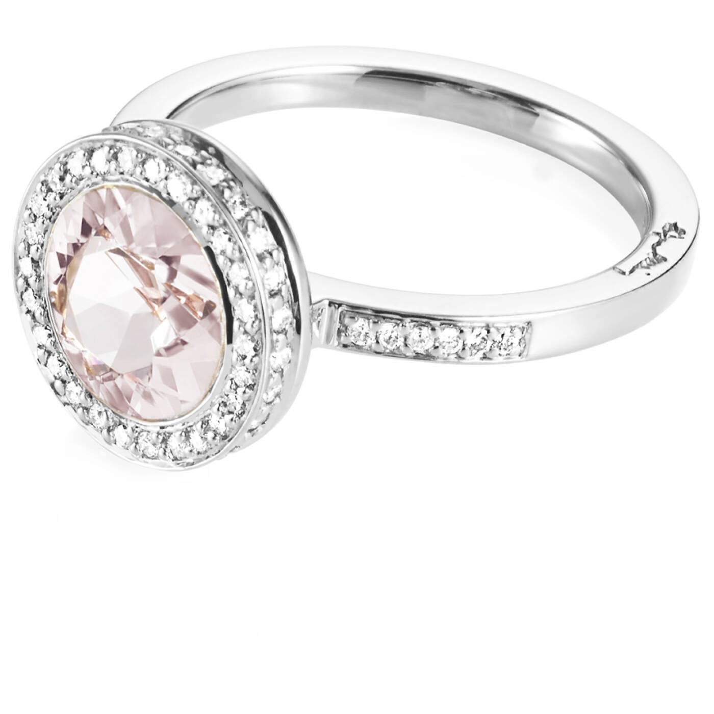 Halo - Morganite Ring Weißgold
