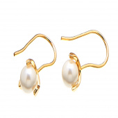 Pearl long Ohrring Gold