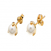 Pearl small stud Ohrring Gold