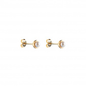 Pearl bubble small stud Ohrring Gold