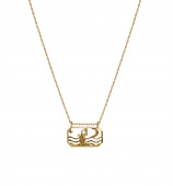 Zodiac vattumannen Halsketten (Gold) 45 cm